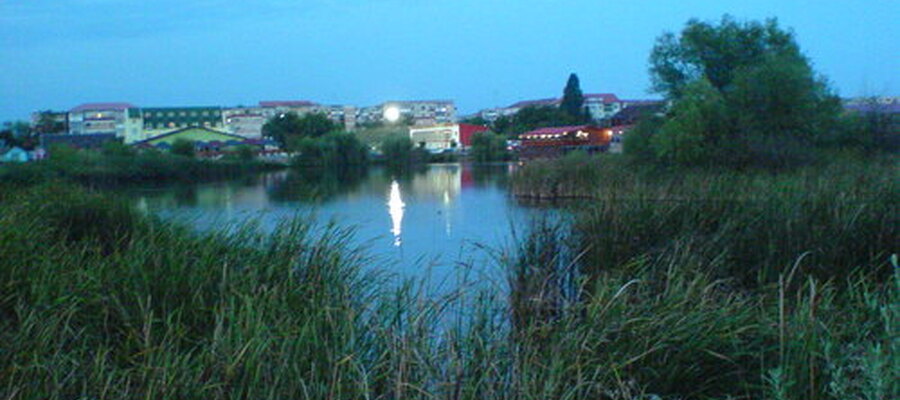 Balta Balauru