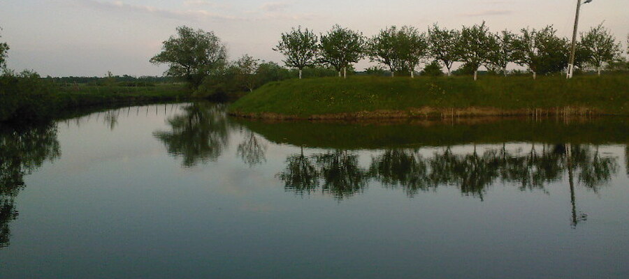 Balta Berini
