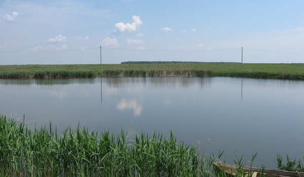Balta Boteni 2