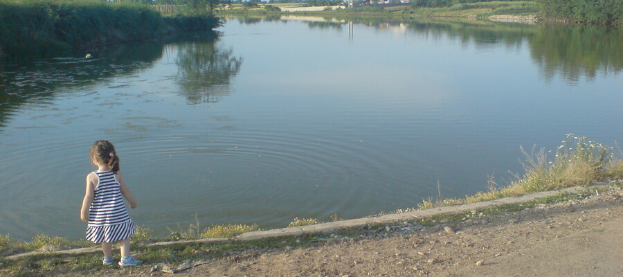 Balta Bun Noroc Salciile