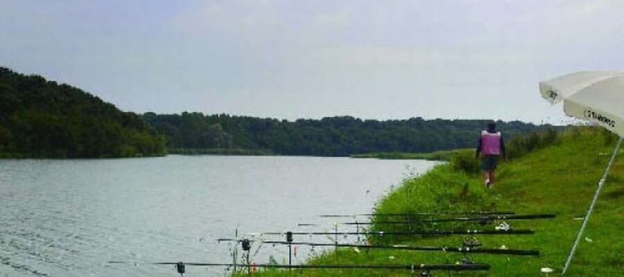 Balta Camineasca
