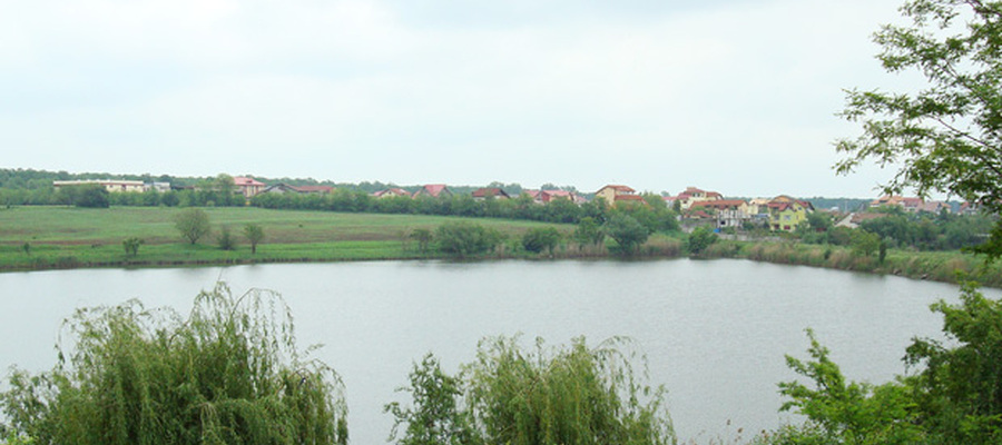 Balta Cernica