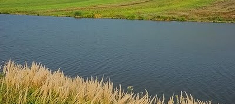 Balta Danesti 6