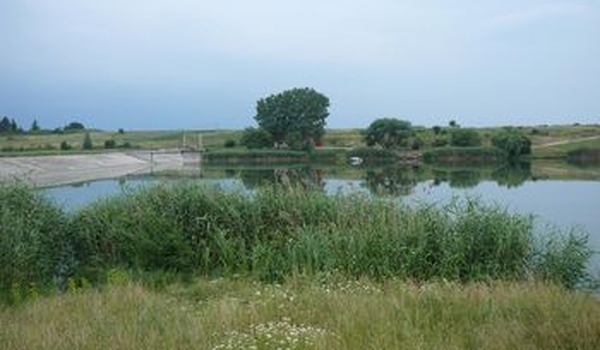 Balta Facau