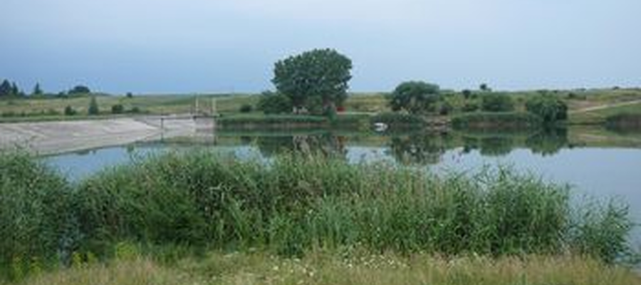 Balta Facau