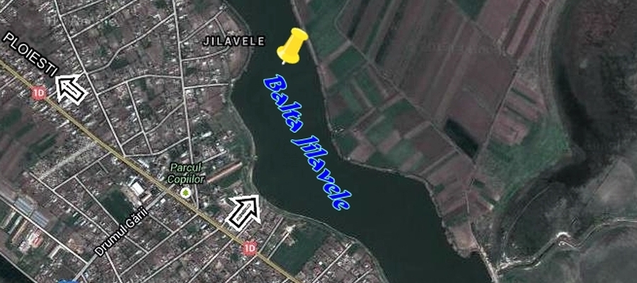 Balta Jilavele