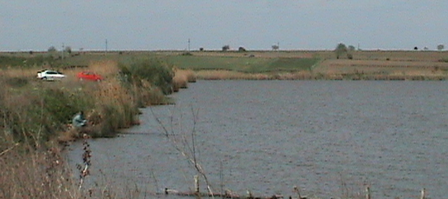 Balta Lozova