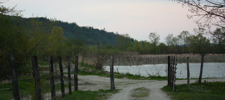 Balta lui Iancu