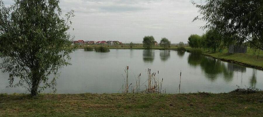 Balta lui Risco