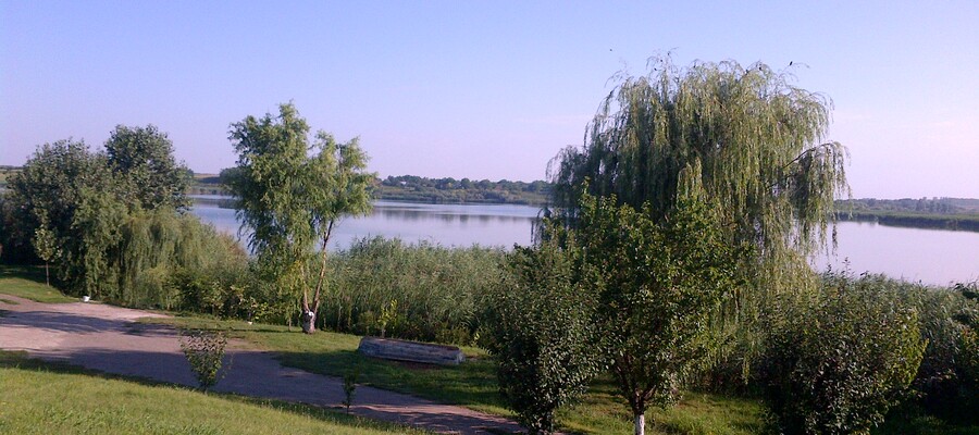Balta Luica