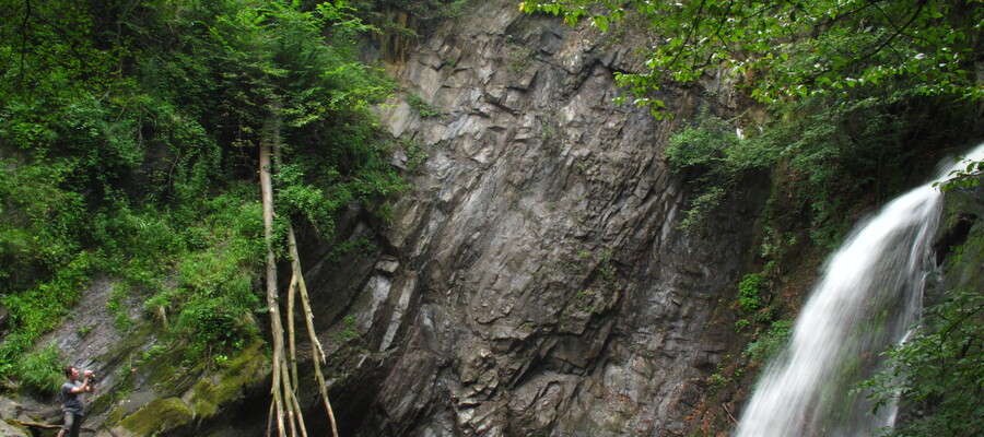 Balta Mehadia