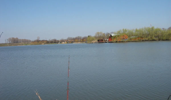 Balta Movilita