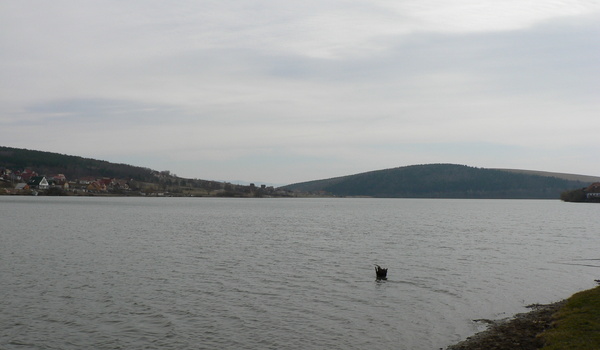 Balta Padureni