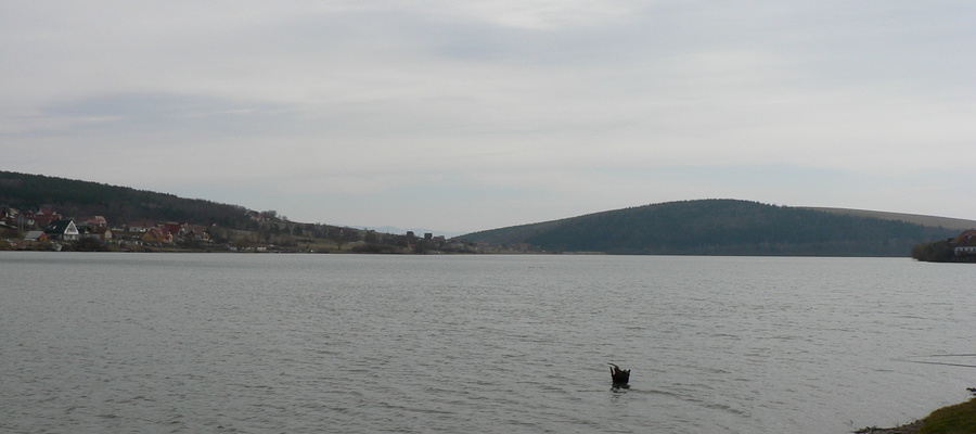Balta Padureni