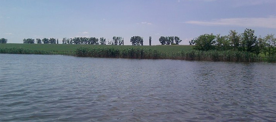 Balta Sapunari