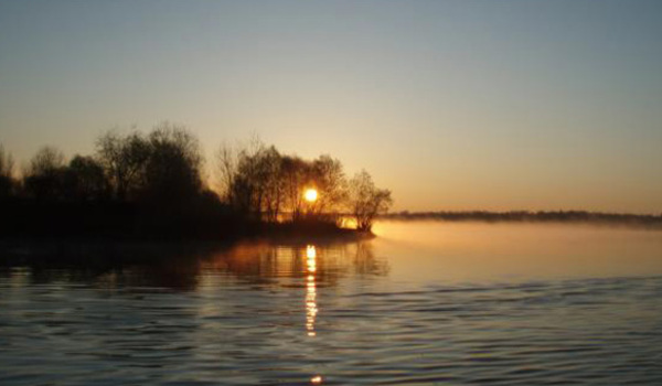 Balta Sarulesti