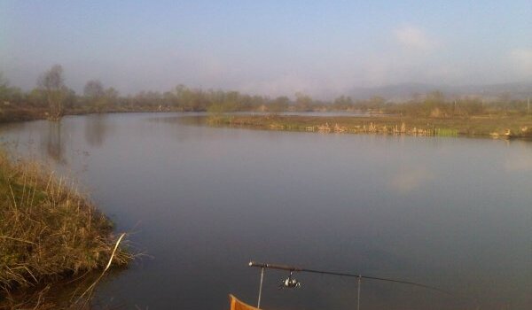 Balta Stigma Fishing