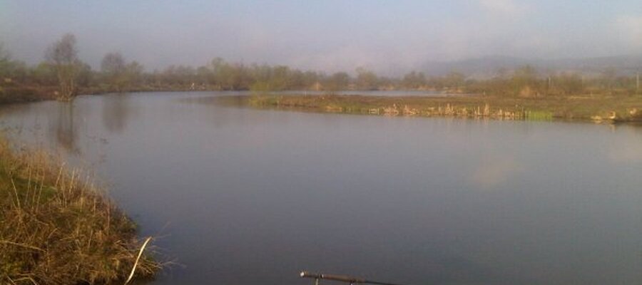 Balta Stigma Fishing