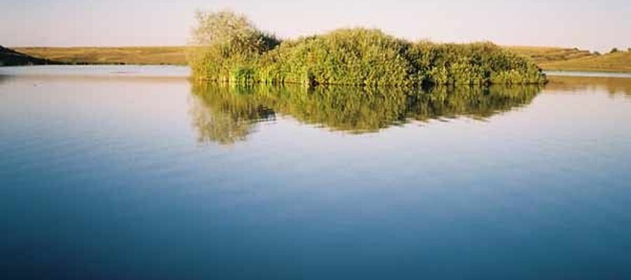 Balta Stolnici