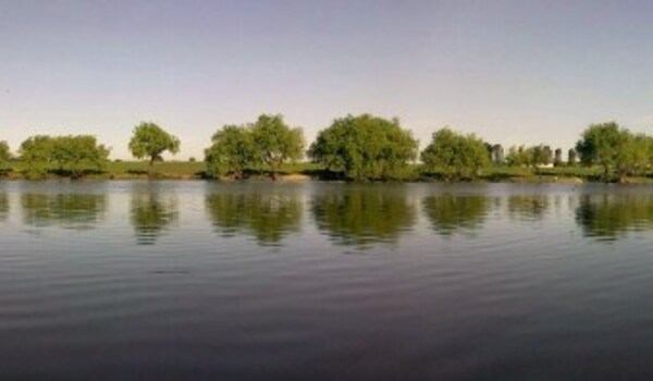 Balta Vlasin
