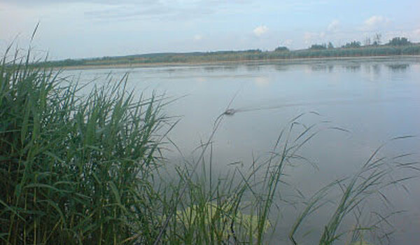 Balta Zatun