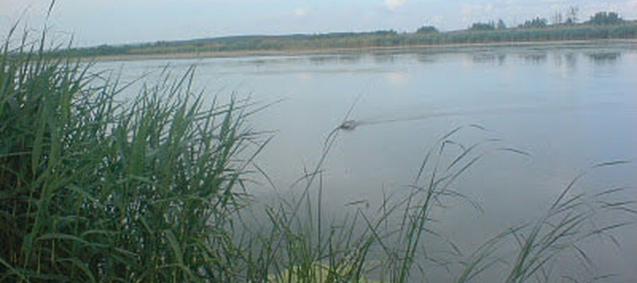 Balta Zatun