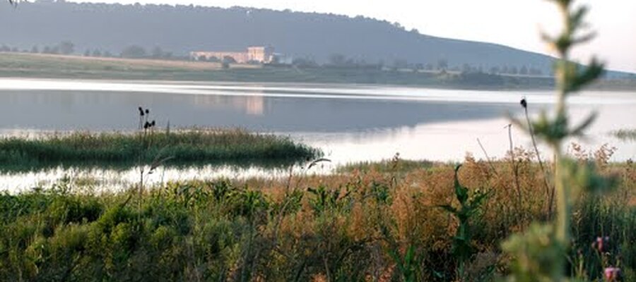 Lacul Lipoveni
